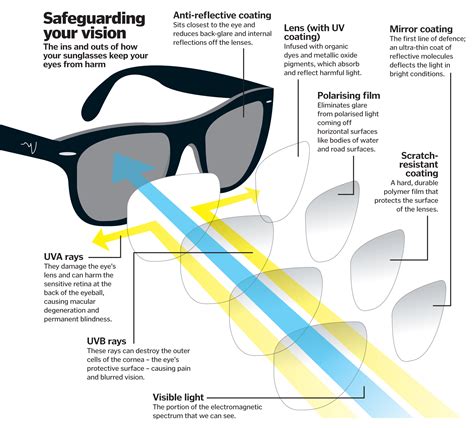 Everything You Need to Know About Polarized .